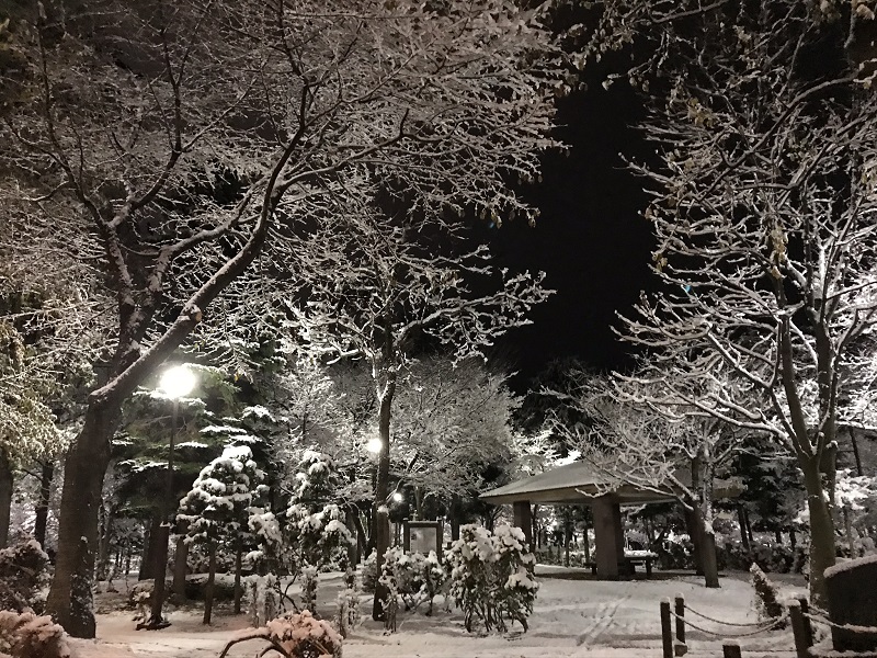 f:id:mainichigaharu:20191202100632j:plain