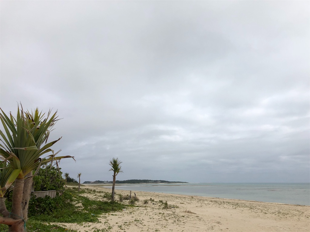 f:id:mainichigaumaretate:20180314103747j:image f:id:mainichigaumaretate:20180314103747j:image