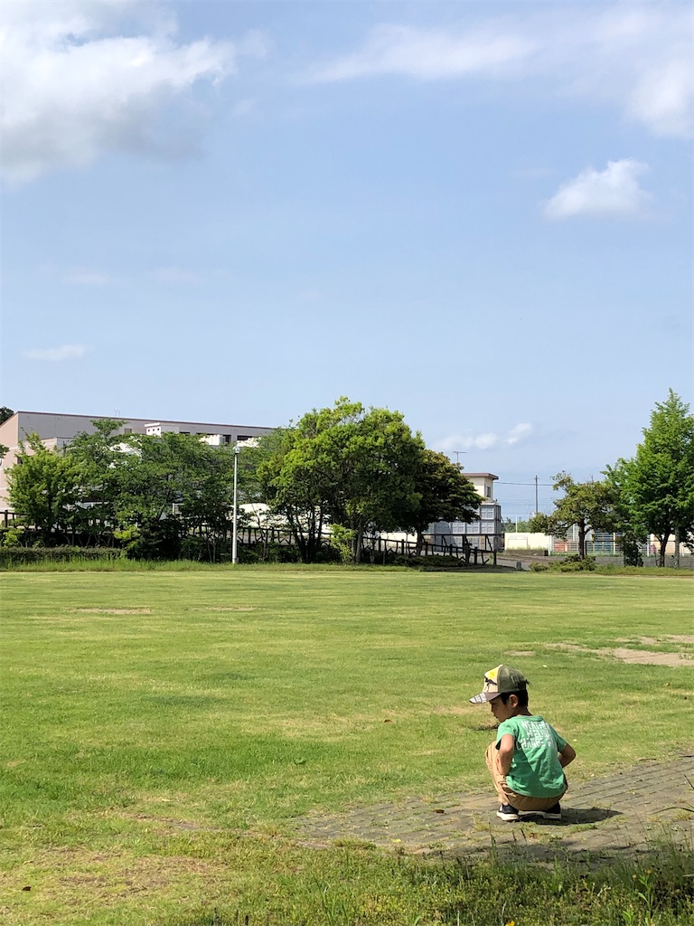 f:id:mainichikaasannotadanonikki:20210515185201j:image f:id:mainichikaasannotadanonikki:20210515185201j:image