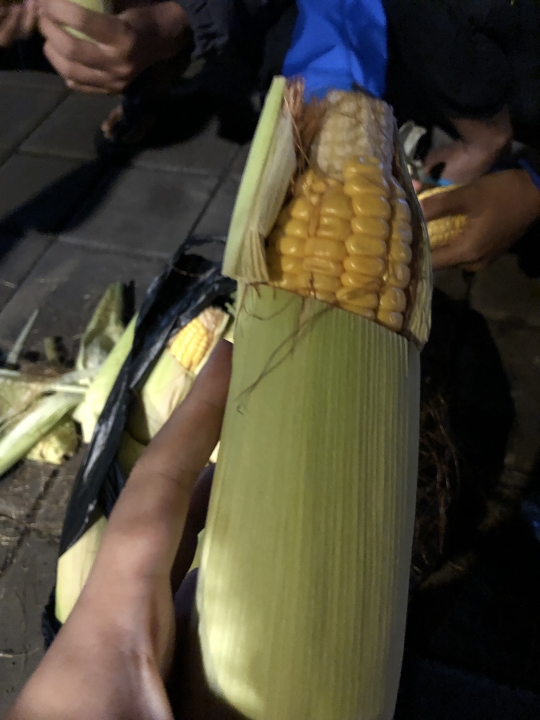 f:id:mainichiwayang:20190108042035j:plain f:id:mainichiwayang:20190108042035j:plain