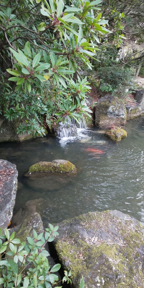 f:id:mainitikodoku:20220204154255j:plain