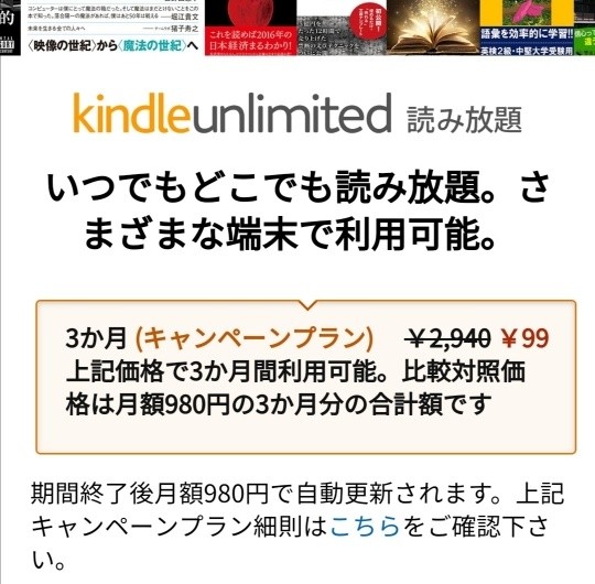 f:id:mainitine:20190705194904j:image f:id:mainitine:20190705194904j:image