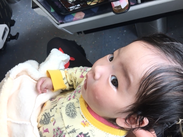 f:id:maiponsan:20161210202320j:plain