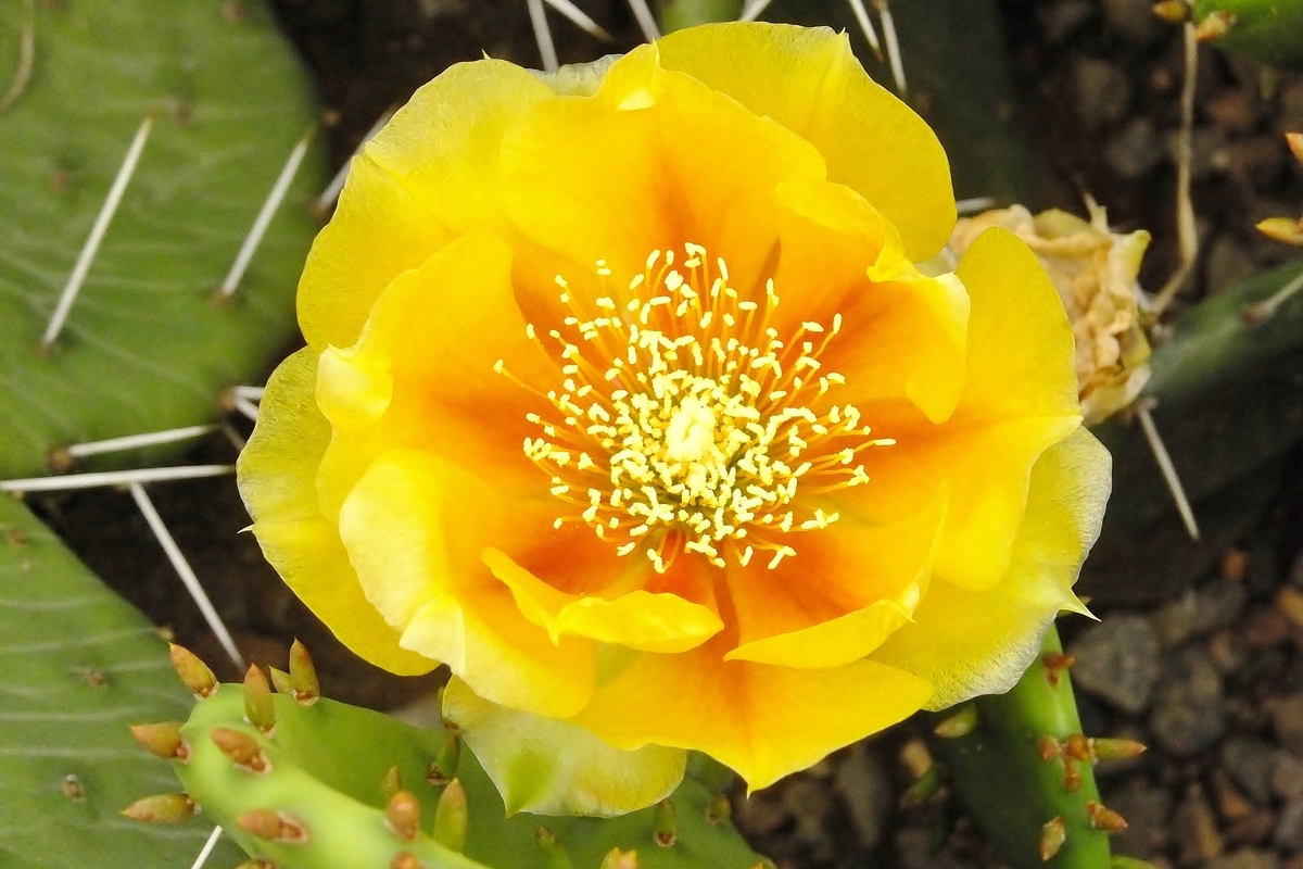 f:id:maironef:20190627215339j:plain f:id:maironef:20190627215339j:plain