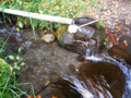 20091024134244
