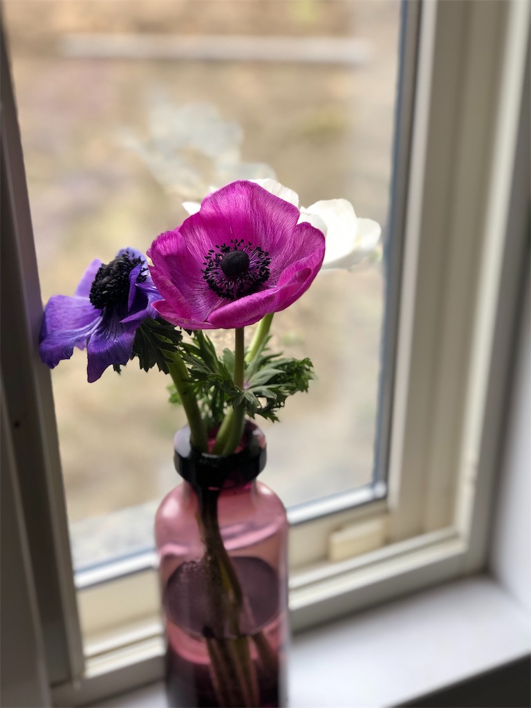 f:id:maisimplelife:20190323123642j:image f:id:maisimplelife:20190323123642j:image