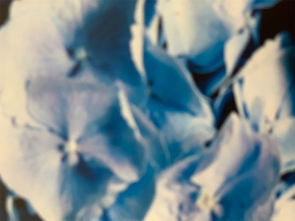 f:id:maison306:20190116153122j:image