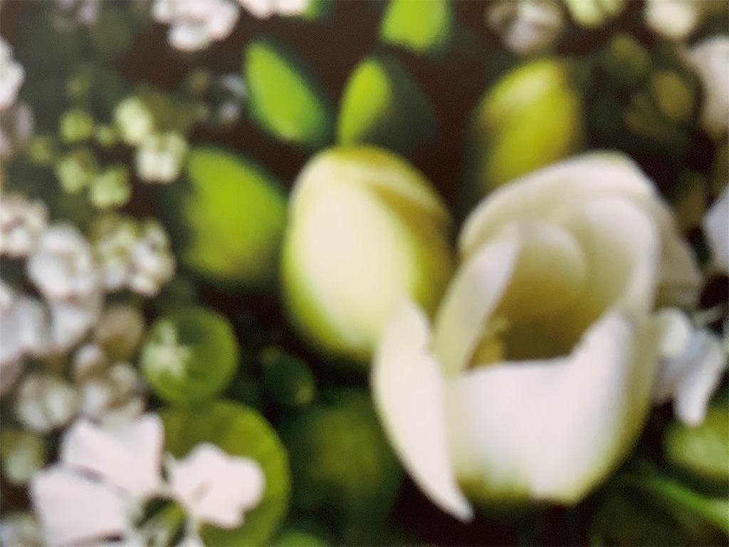 f:id:maison306:20190116153826j:image