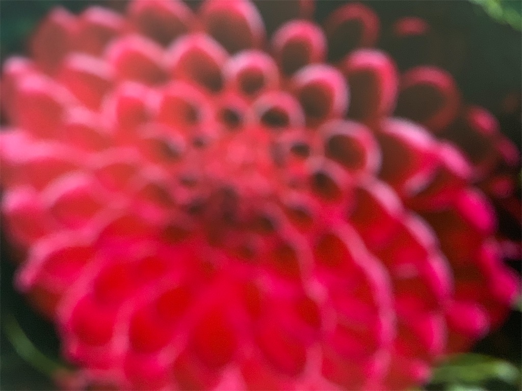 f:id:maison306:20190116154035j:image