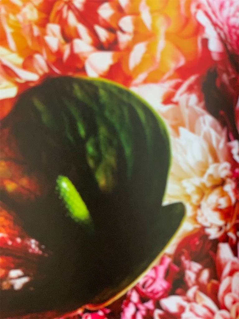 f:id:maison306:20190116154425j:image