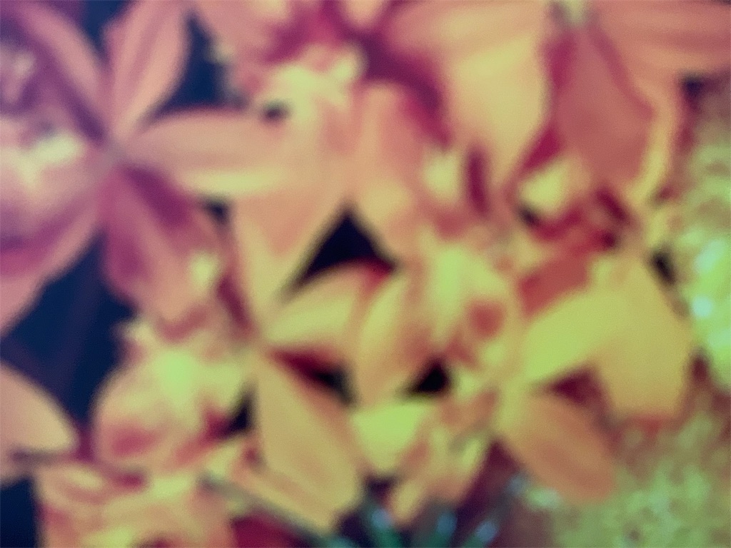 f:id:maison306:20190116154600j:image