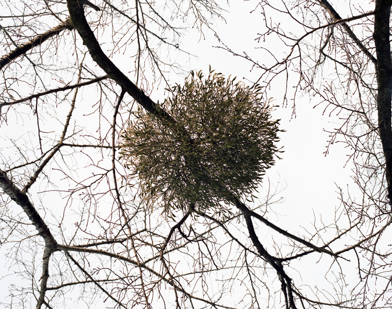 f:id:maitanaka:20140228160428j:image