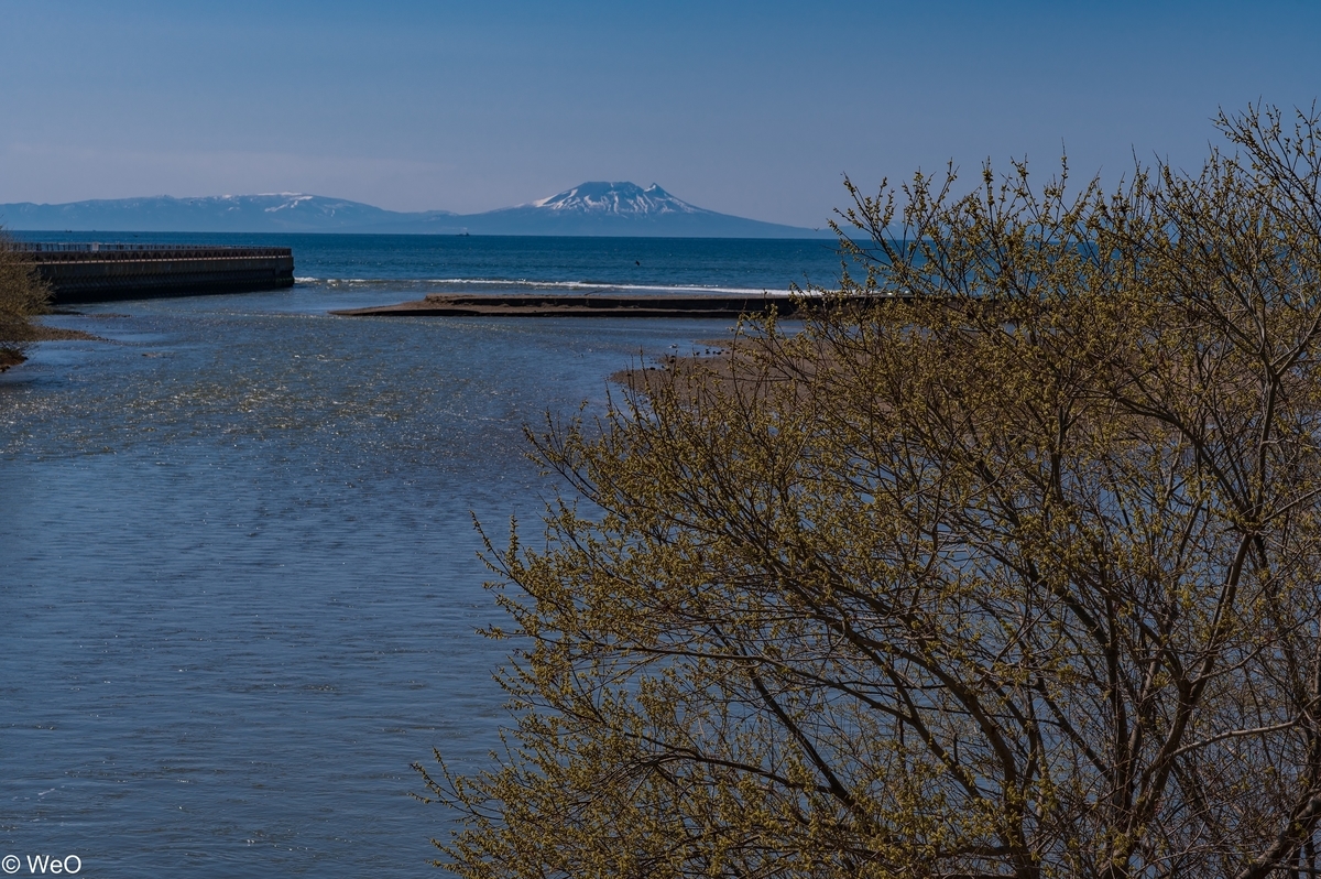 f:id:maitreyakaruna:20220416134219j:plain