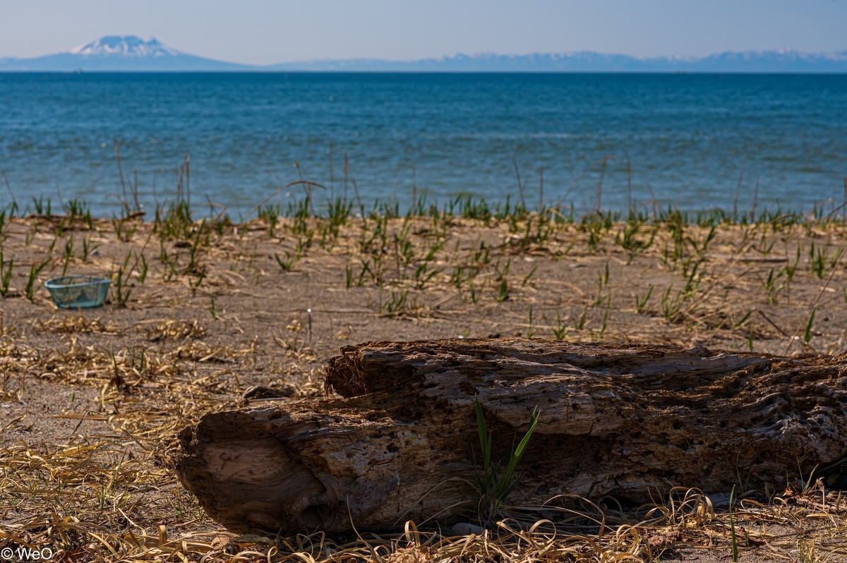 f:id:maitreyakaruna:20220416134531j:plain