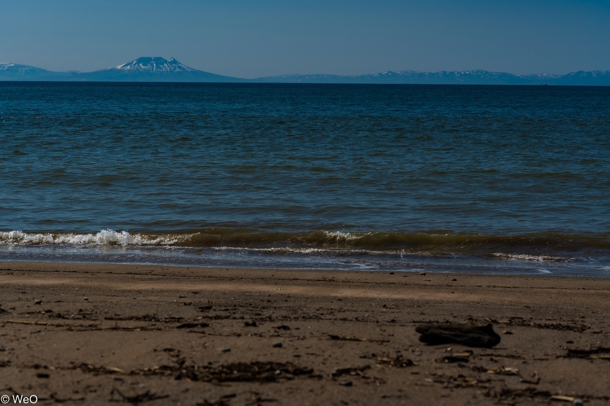 f:id:maitreyakaruna:20220416134646j:plain