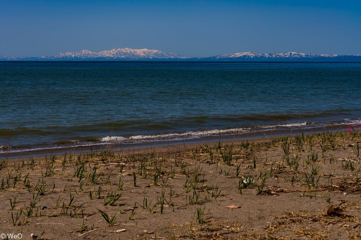 f:id:maitreyakaruna:20220416134807j:plain