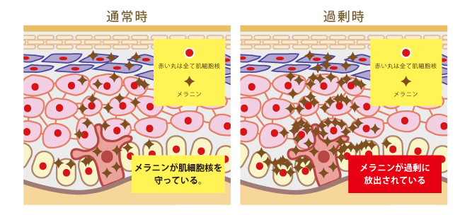 f:id:maitriimaitrii:20170818200900p:plain