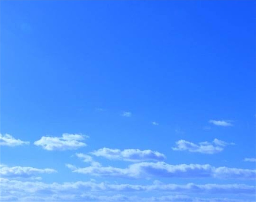 f:id:maiya1209:20200326070016j:image f:id:maiya1209:20200326070016j:image