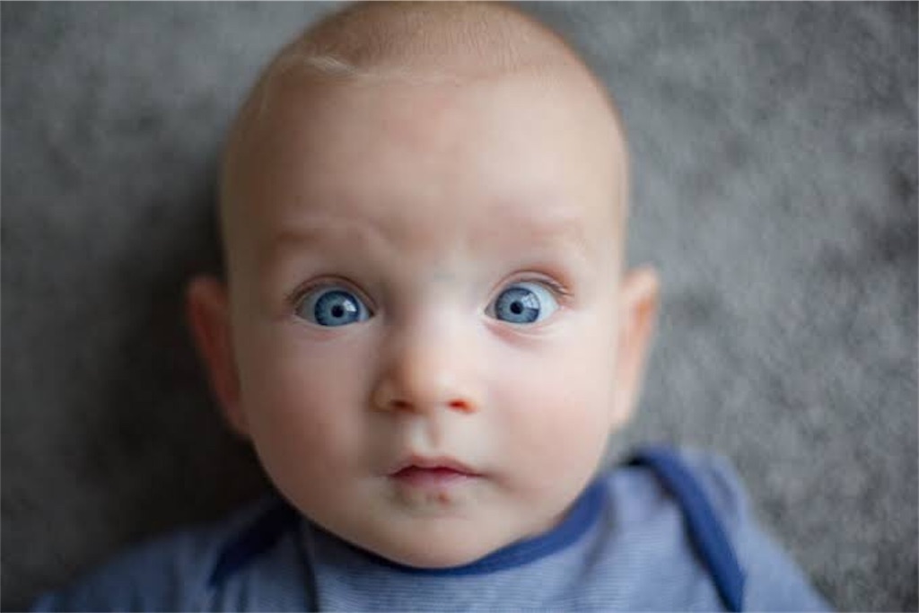 f:id:maiya1209:20200407011633j:image