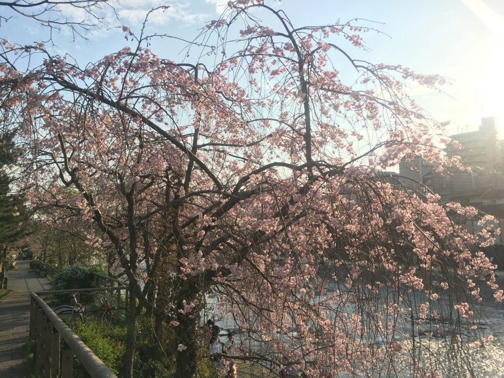 f:id:maiyoshikawa:20180328225841j:plain