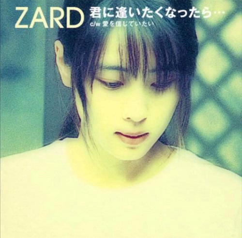 ZARD 写真集　君に逢いたくなったら…インタビュー本　オマケ付き ZARD 写真集 君に逢いたくなったら…インタビュー本 オマケ付き