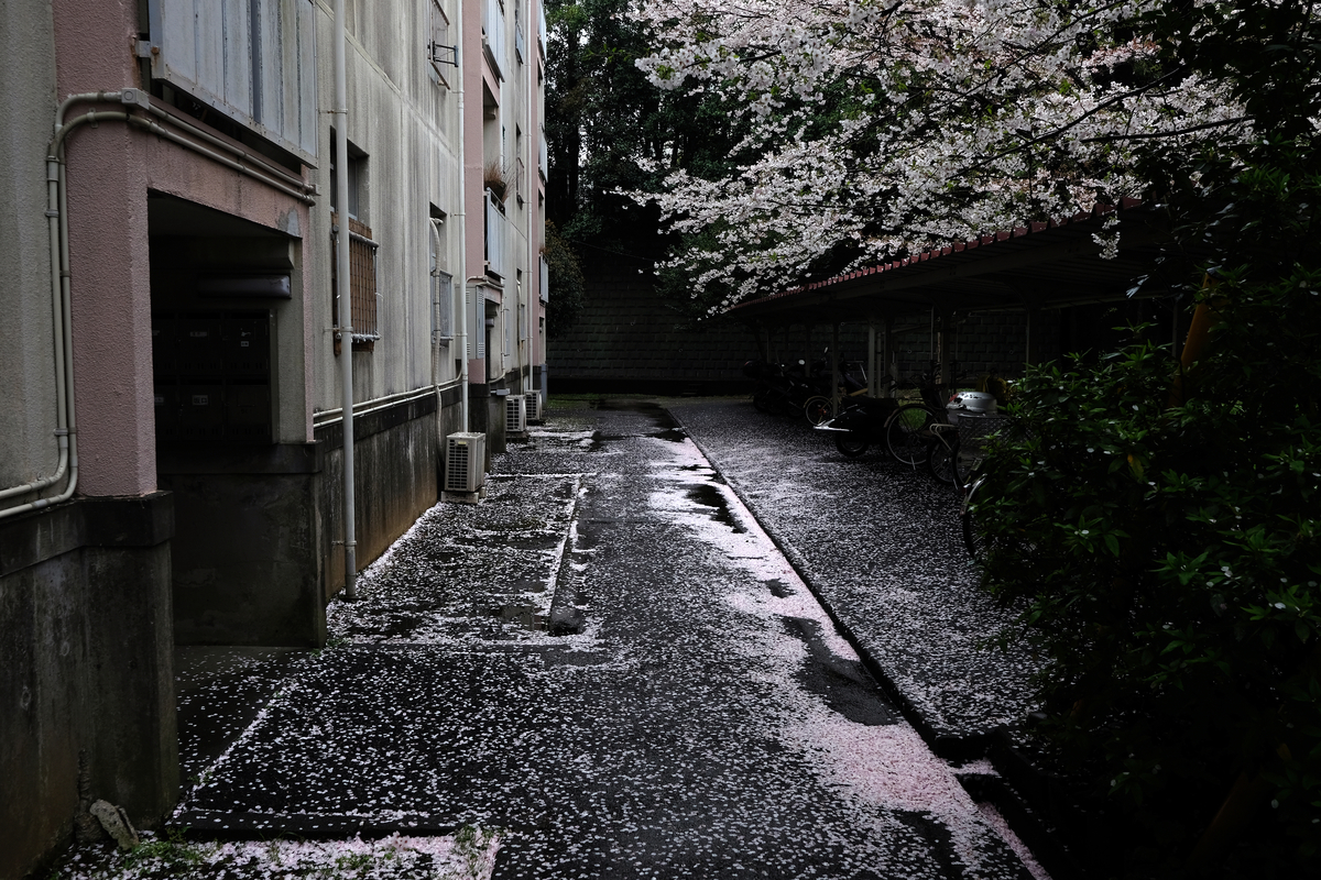 f:id:majide0:20210328121259j:plain