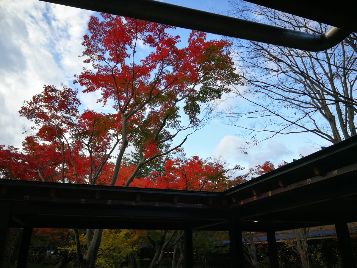 f:id:majideko:20191118164131j:plain