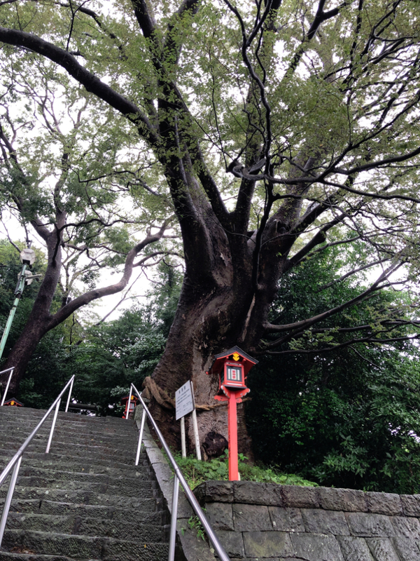 f:id:majioroka:20210901001639j:plain