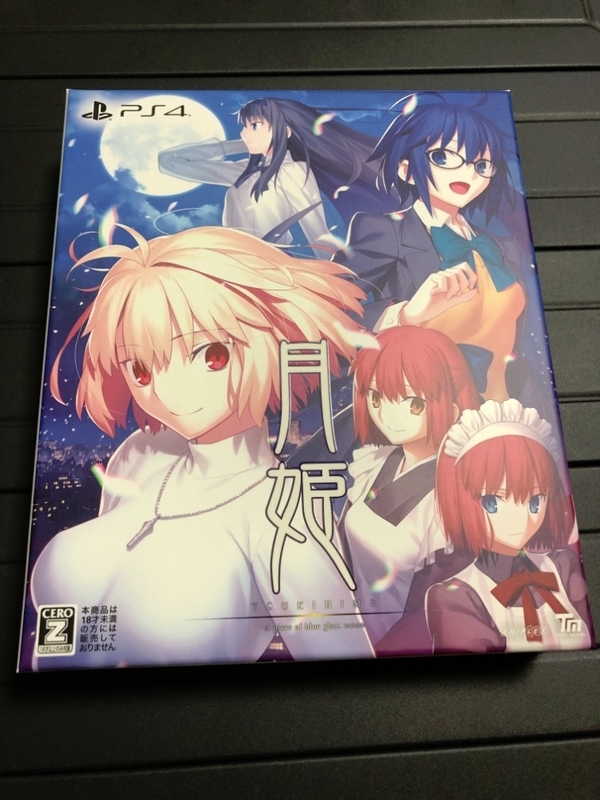 Switch 魔法使いの夜 月姫 TYPE-MOON 動作確認済み