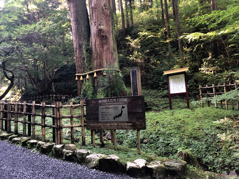 f:id:majioroka:20211127233036j:plain