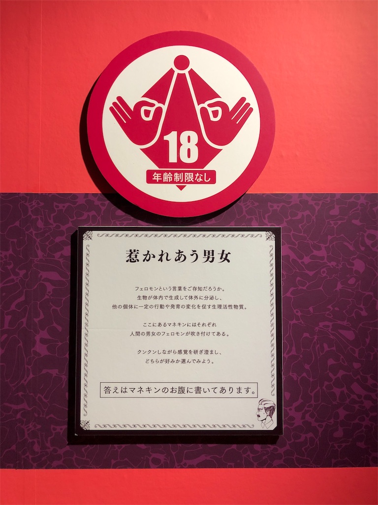 f:id:majoranaair:20180908200427j:image