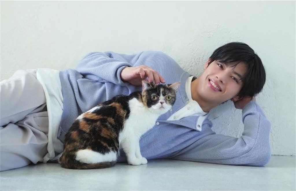 f:id:majotoyou:20211123004604j:image