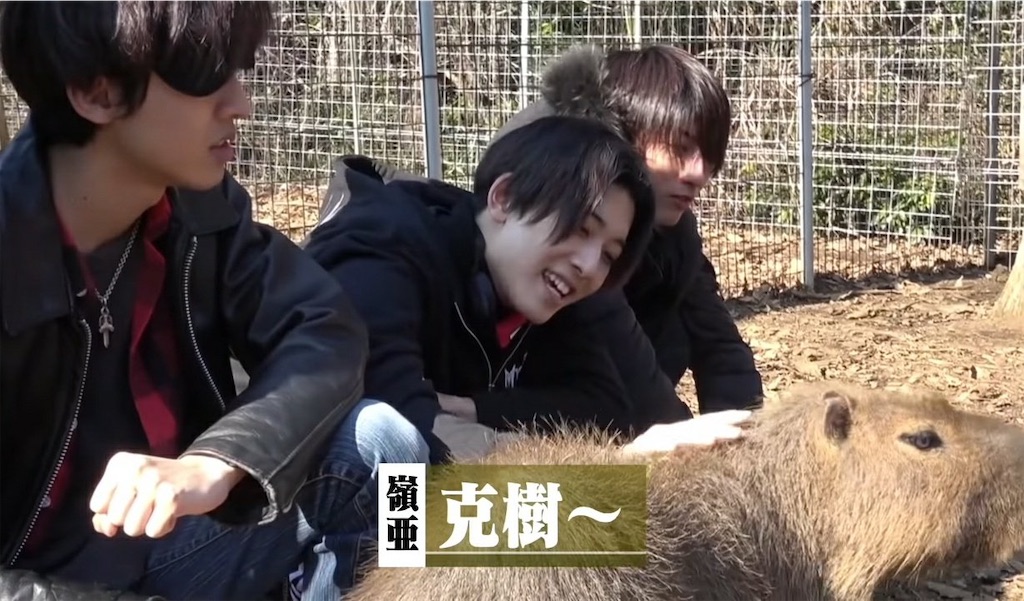 f:id:majotoyou:20211123005156j:image