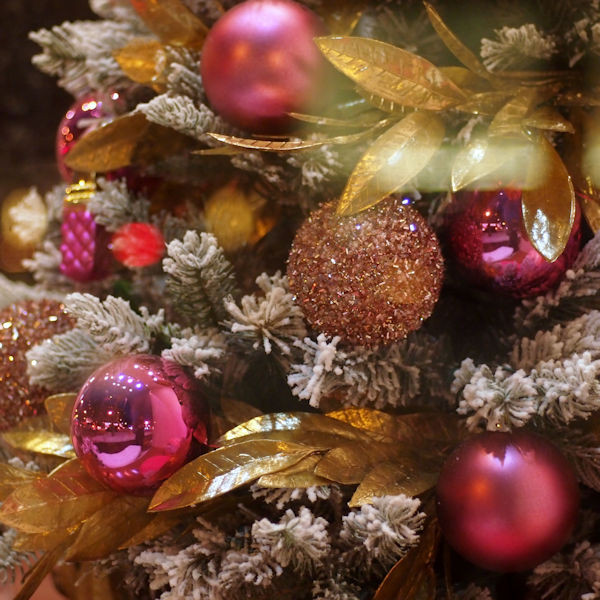 f:id:majyonan:20161222190031j:plain f:id:majyonan:20161222190031j:plain