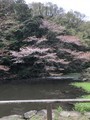 20190330110945