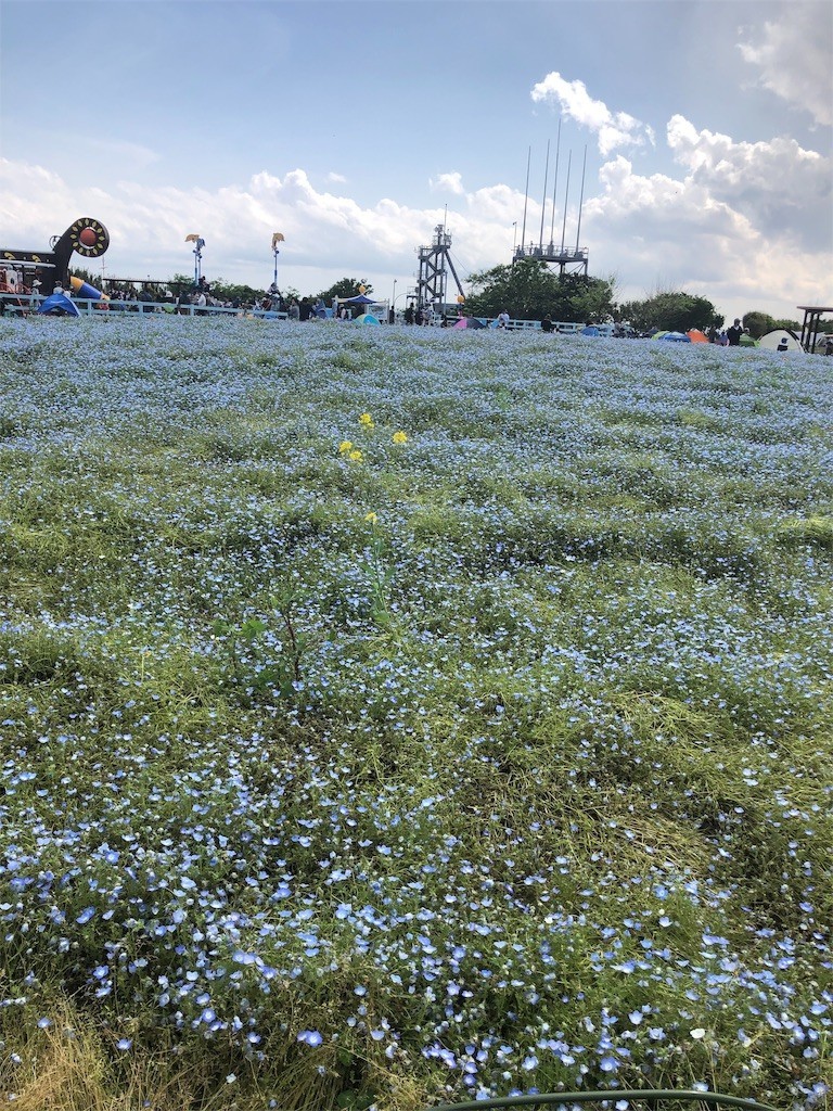 f:id:majyonan:20190508083414j:image f:id:majyonan:20190508083414j:image