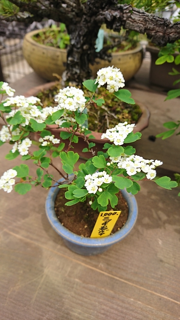 f:id:mak_phy:20180427222048j:plain f:id:mak_phy:20180427222048j:plain