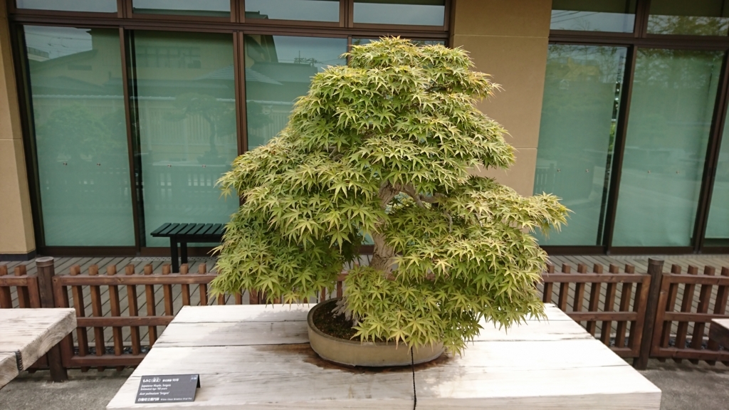 f:id:mak_phy:20180427222506j:plain f:id:mak_phy:20180427222506j:plain