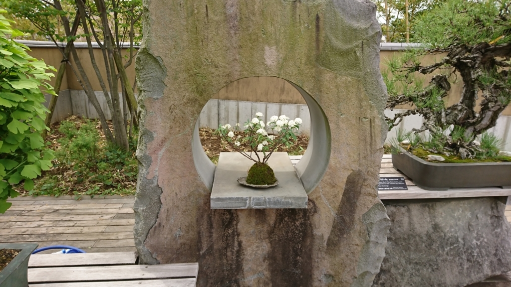 f:id:mak_phy:20180427222536j:plain f:id:mak_phy:20180427222536j:plain