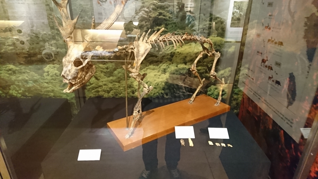 f:id:mak_phy:20180523171458j:plain