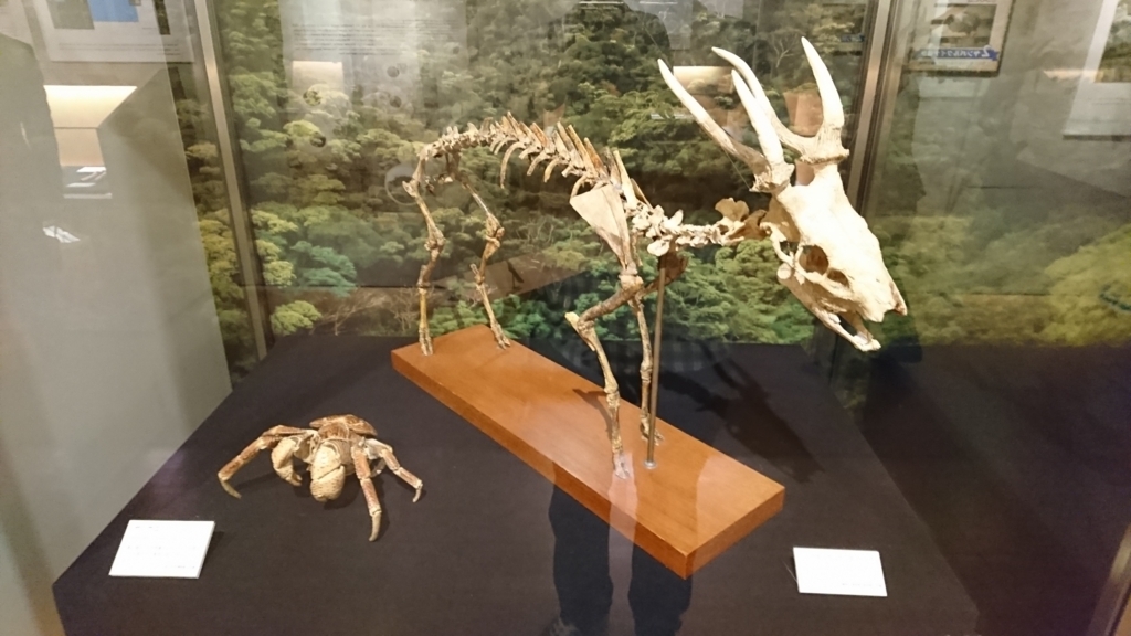 f:id:mak_phy:20180523171549j:plain f:id:mak_phy:20180523171549j:plain