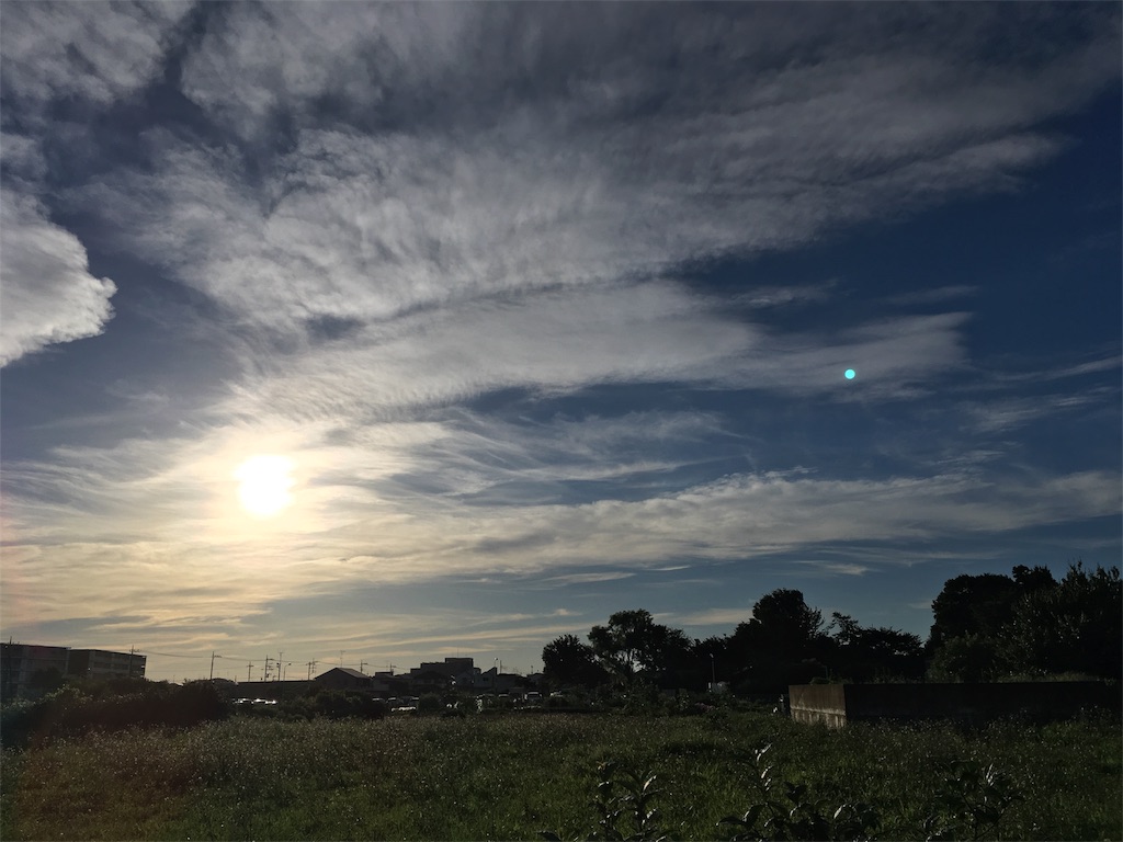 f:id:makalealife:20180704233203j:image f:id:makalealife:20180704233203j:image