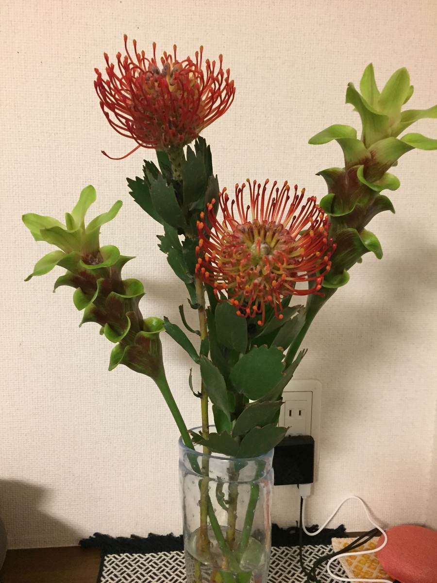 セミの声が聞こえる Makana Laniの日記