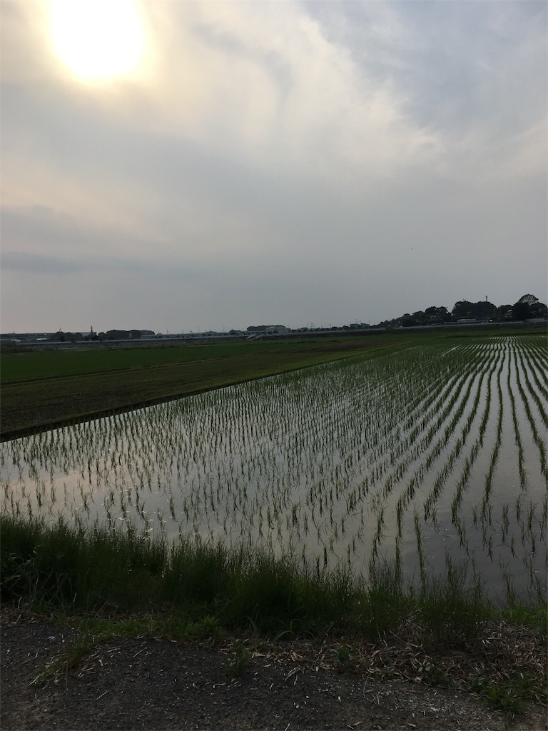 田園風景とはこのこと 私の実家を紹介します 大人も子どもも楽しめる英語ブログ