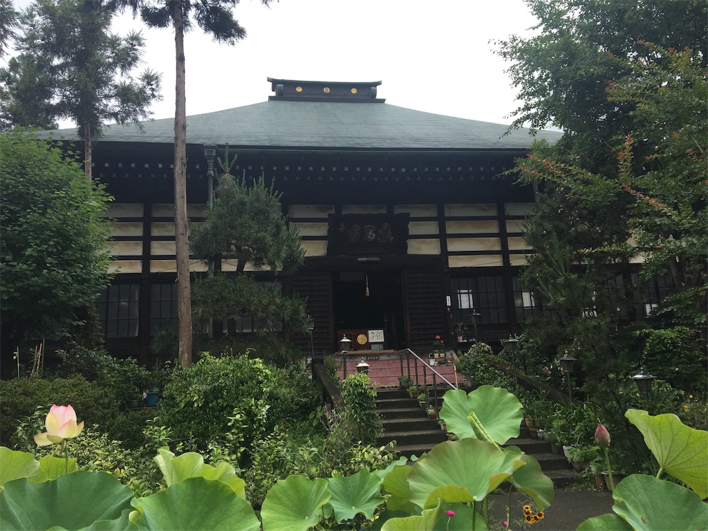f:id:makanalea11:20180624072720j:image f:id:makanalea11:20180624072720j:image