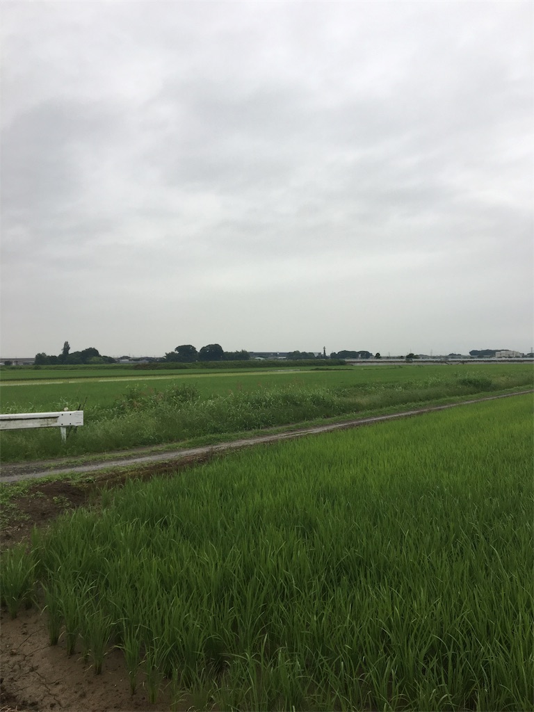 f:id:makanalea11:20180624072940j:image f:id:makanalea11:20180624072940j:image