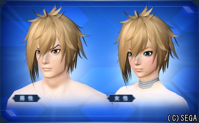 Pso2 Acスクラッチ 新春 亥年アクセサリーセレクト で手に入るアイテムまとめ まかぽっぽ