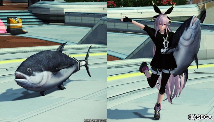 Pso2 キャラクターポーズまとめ ロビーアクション まかぽっぽ