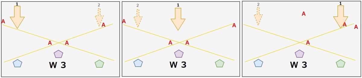 W3のエクソ位置
