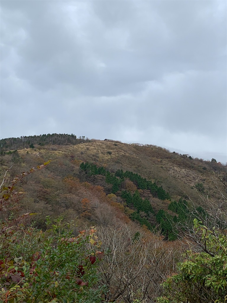 f:id:makaron1104:20211103215044j:plain